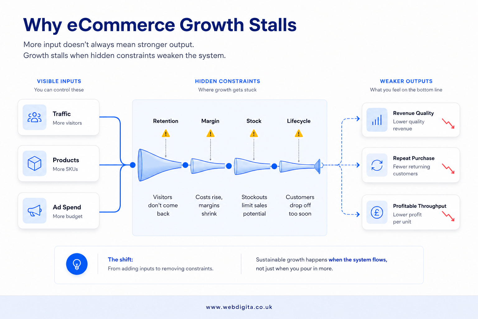Diagram showing traffic, products and ad spend hitting retention, margin, stock and lifecycle bottlenecks.